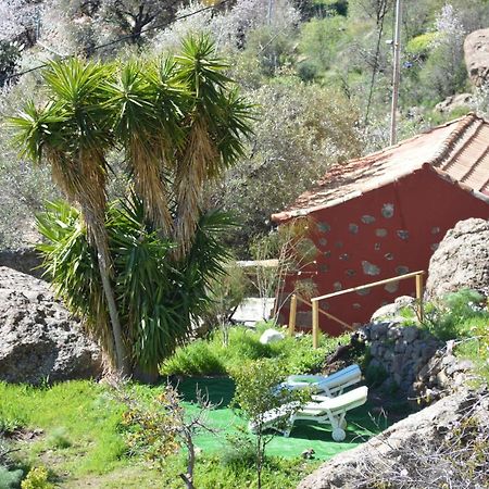 Casa Cueva El Pedregal Tejeda Villa Bagian luar foto