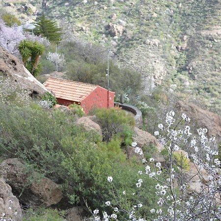 Casa Cueva El Pedregal Tejeda Villa Bagian luar foto