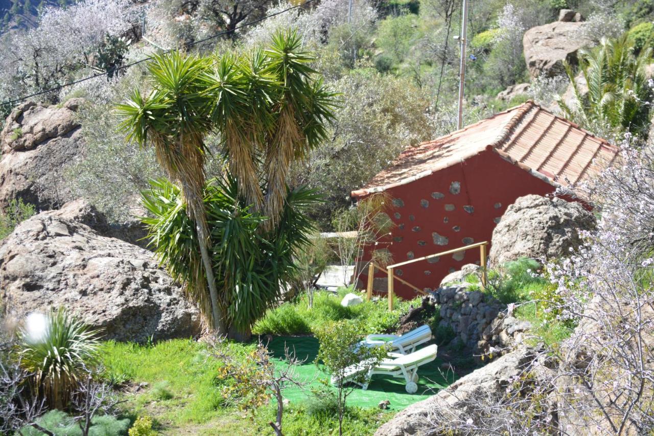 Casa Cueva El Pedregal Tejeda Villa Bagian luar foto