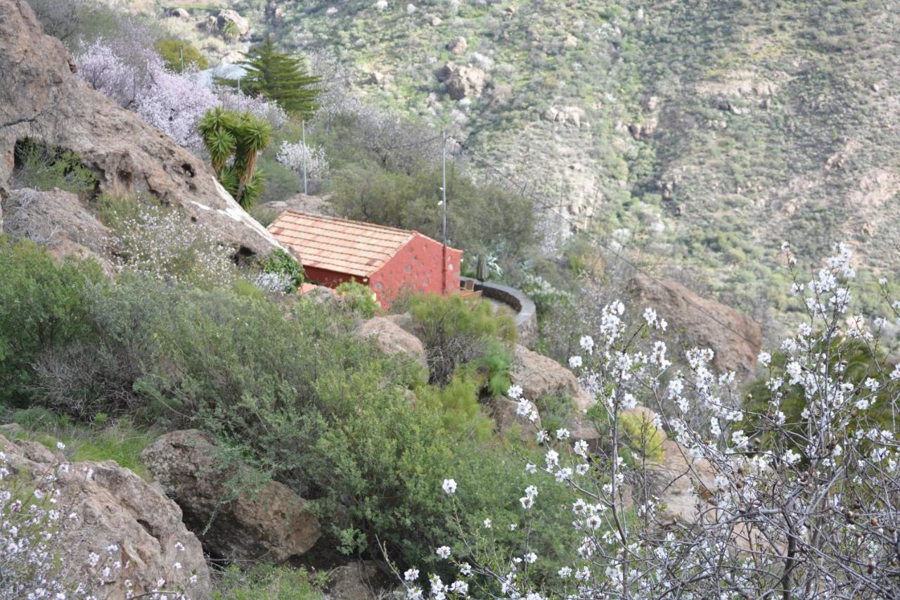 Casa Cueva El Pedregal Tejeda Villa Bagian luar foto