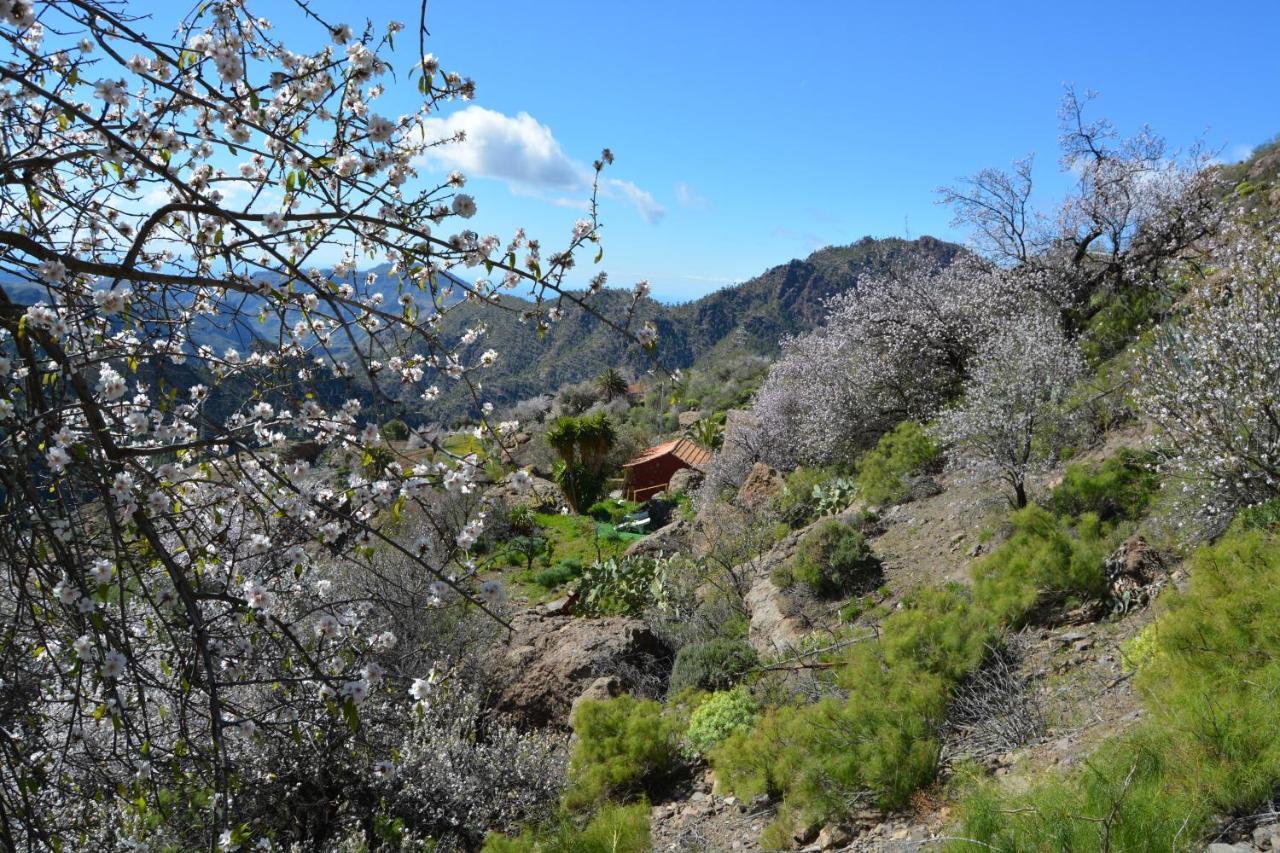 Casa Cueva El Pedregal Tejeda Villa Bagian luar foto