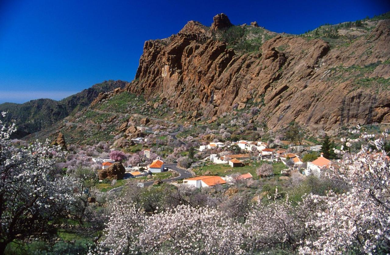 Casa Cueva El Pedregal Tejeda Villa Bagian luar foto