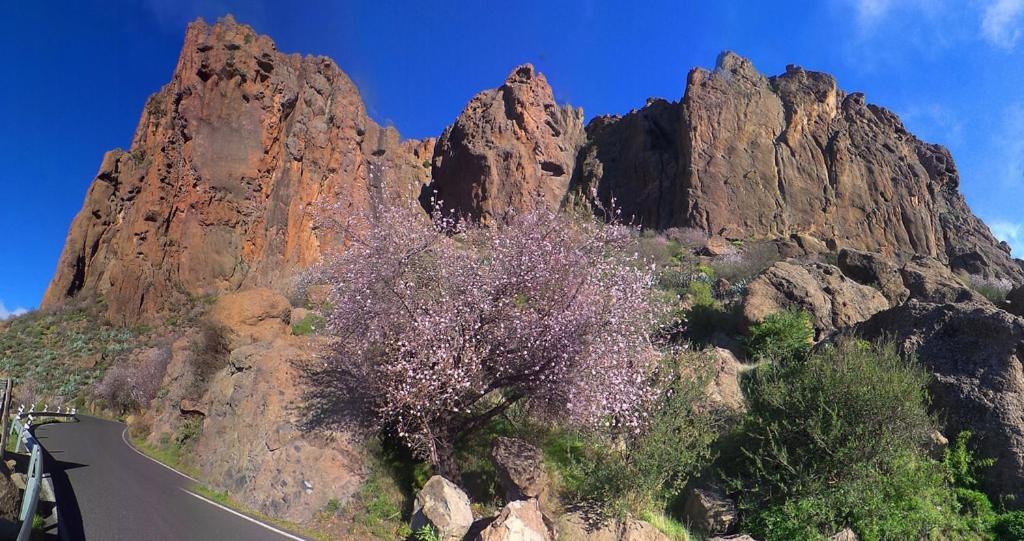 Casa Cueva El Pedregal Tejeda Villa Bagian luar foto